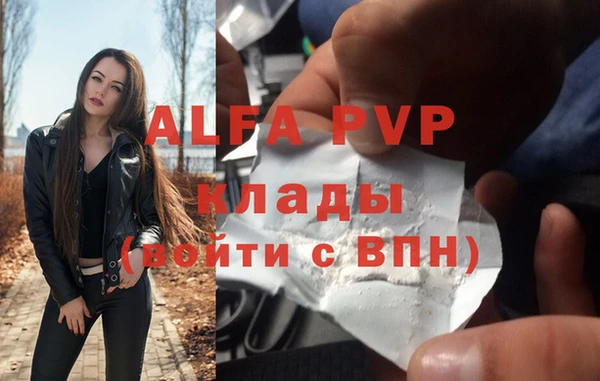стаф Белокуриха