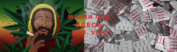 стаф Белокуриха
