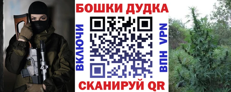 Конопля план Шенкурск